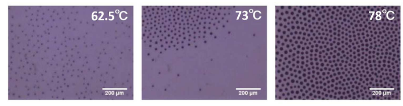 Illustration for article titled Scientists Have Worked Out What the Mysterious White Mist On Coffee Is